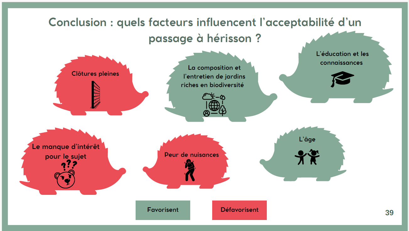 Extrait de la restitution du travail, 2025