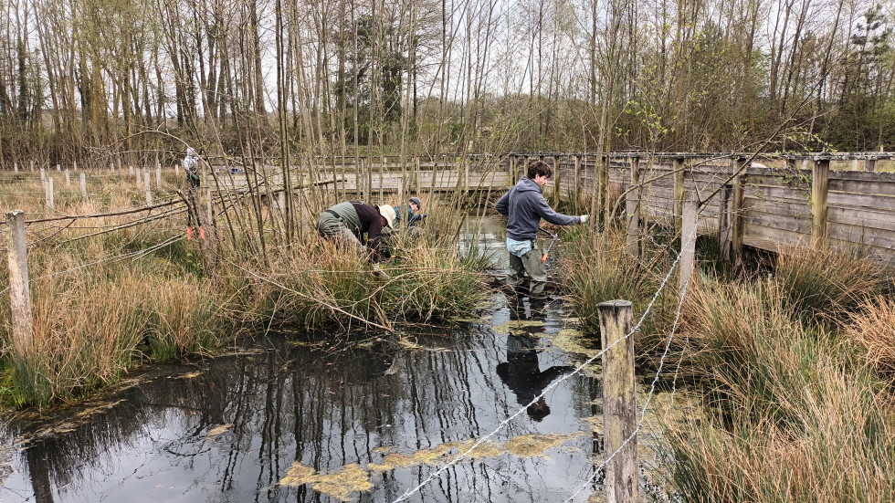 Aisne avril 2023 Jerome (5).jpg