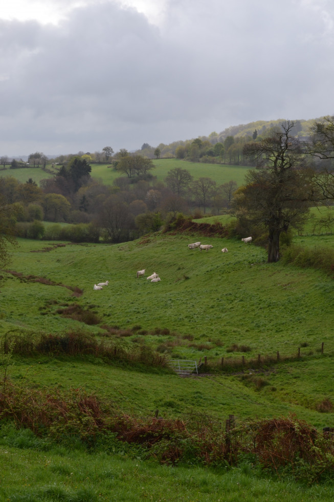 Paysage bocager des Combrailles2