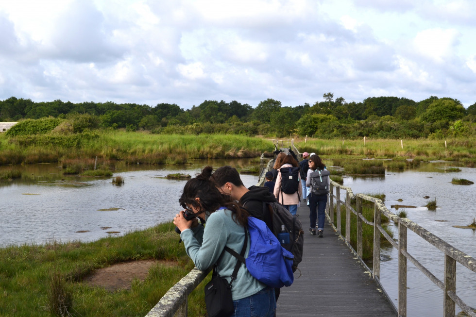 Réserve naturelle des marais de Séné.JPG