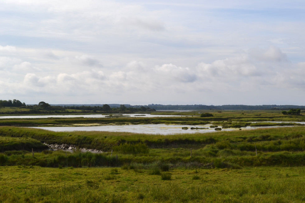 Réserve naturelle des marais de Séné