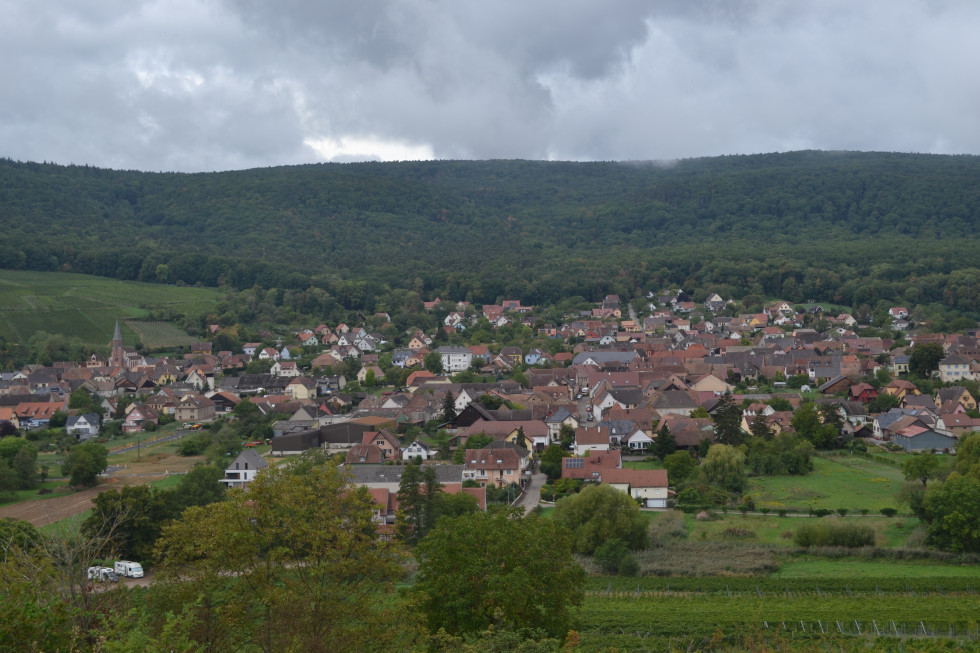 alsace